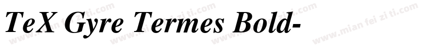 TeX Gyre Termes Bold字体转换